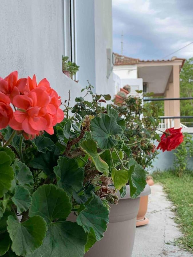 Cleopatra'S Cozy Cottage Keramoti  Bagian luar foto